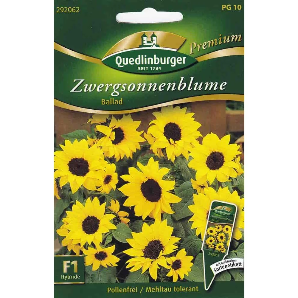 "Zwergsonnenblumen Ballad F1, Sonnenblumensamen, Topfsonnenblume image"