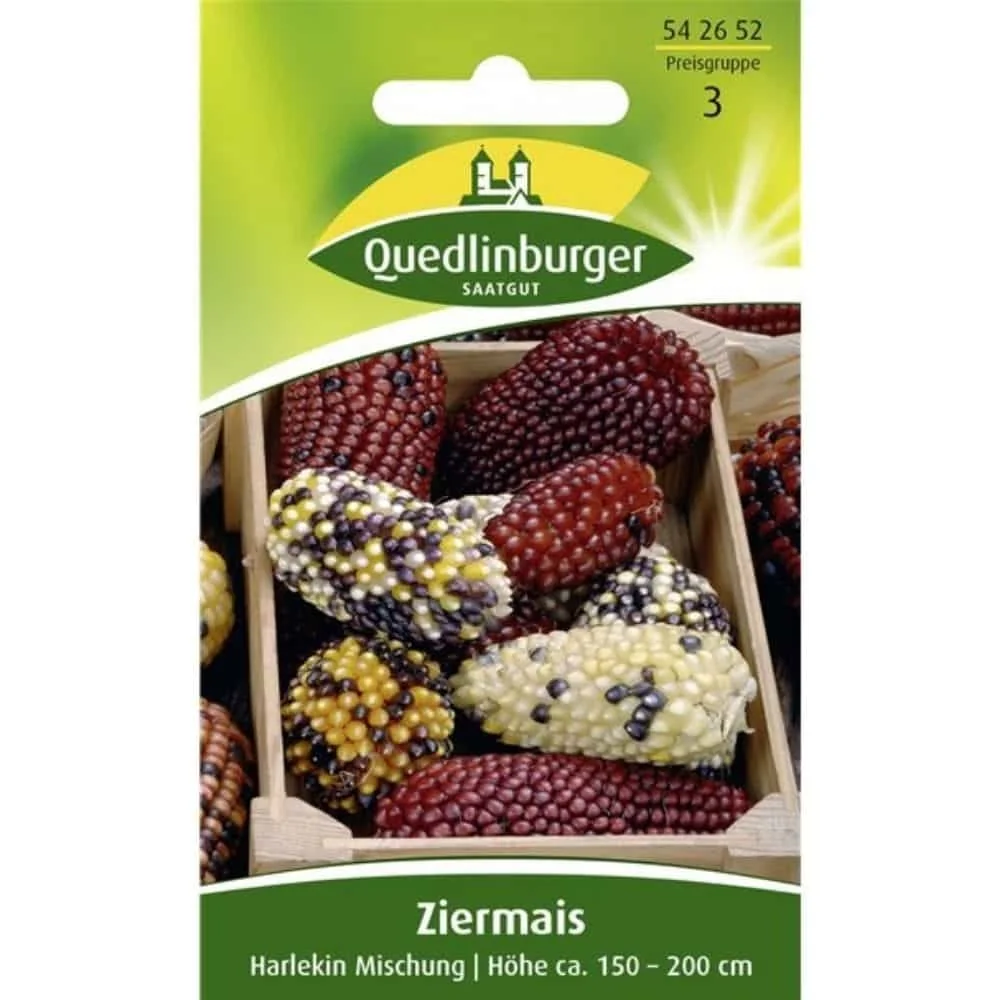 "Ziermais, Harlekin, Saatgut für bunte Herbstdeko image"