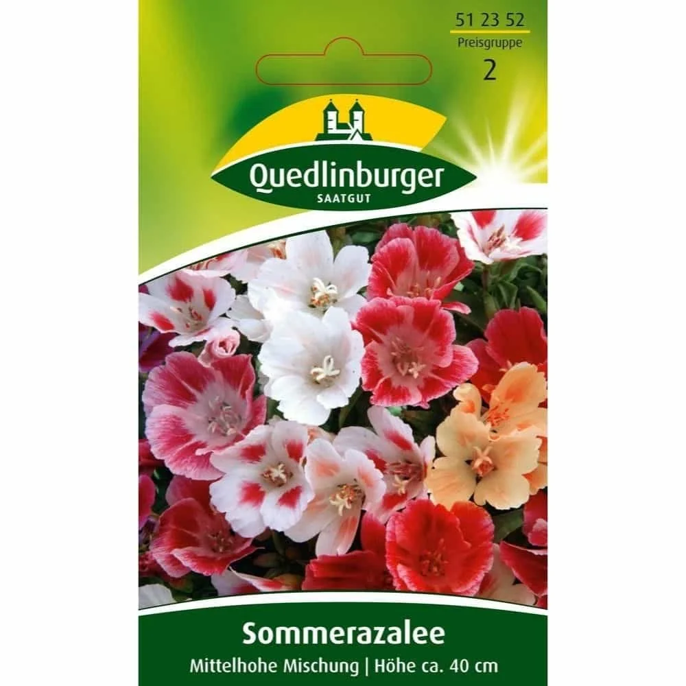 "Sommerazalee, Mittelhohe Mischung image"
