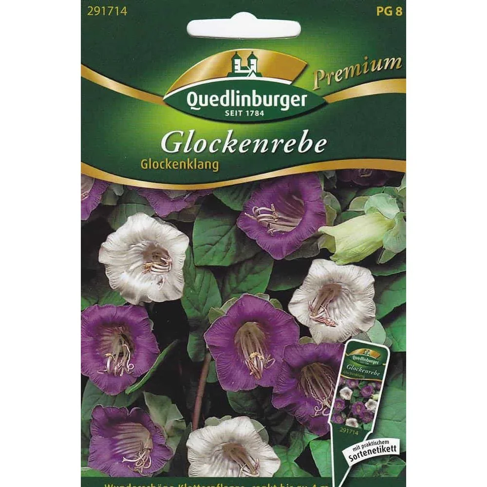 "Glockenrebe, Glockenklang image"