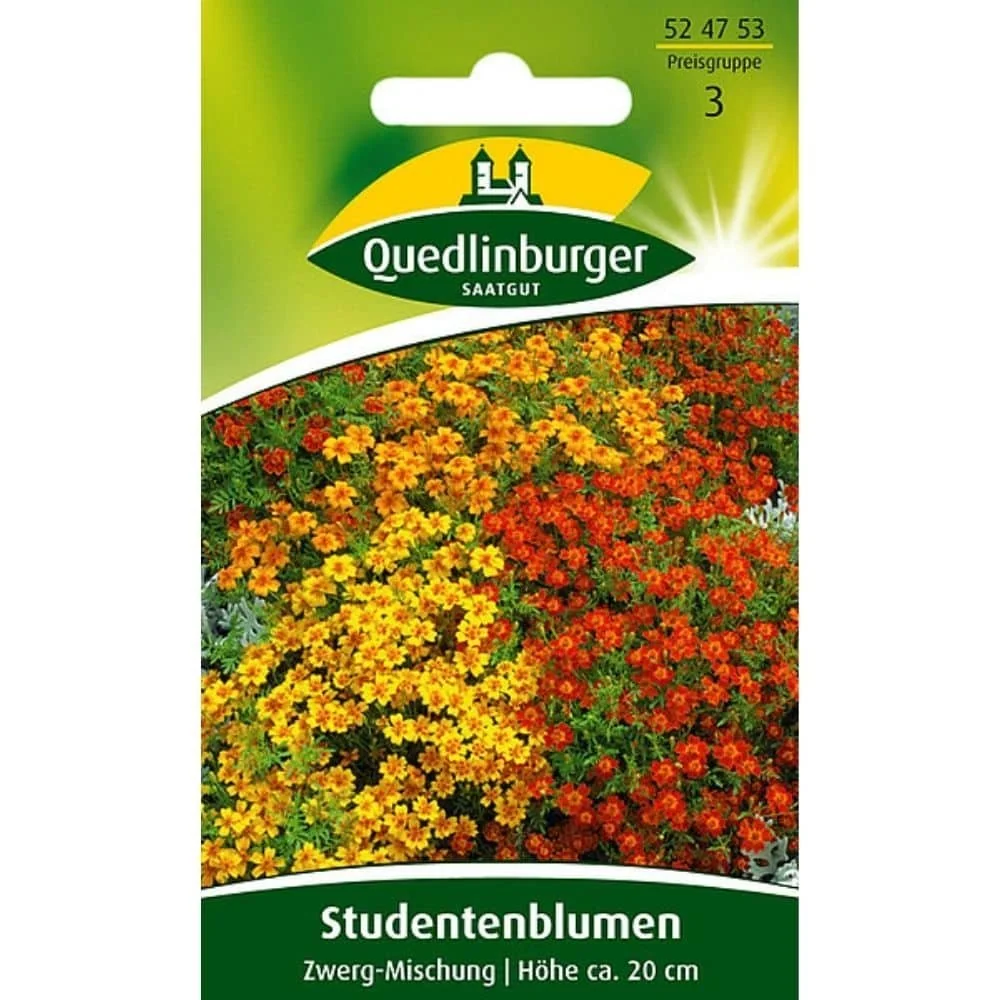"Studentenblume, Zwerg-Mischung image"