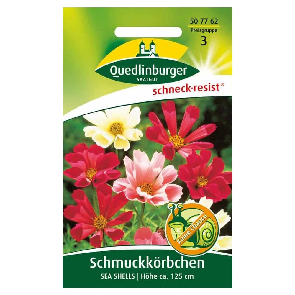 "Schmuckkörbchen, Sea Shells image"