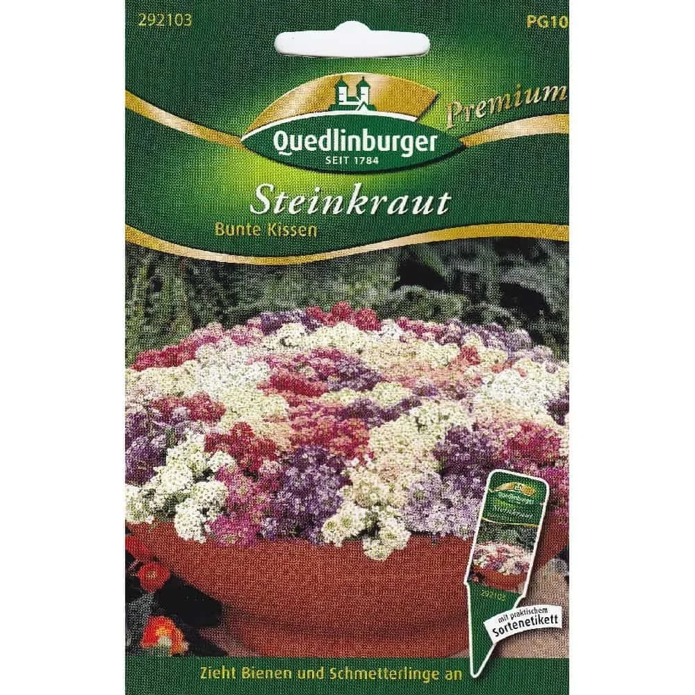 "Steinkraut kaufen, Duftsteinkraut, Sommerblumen image"