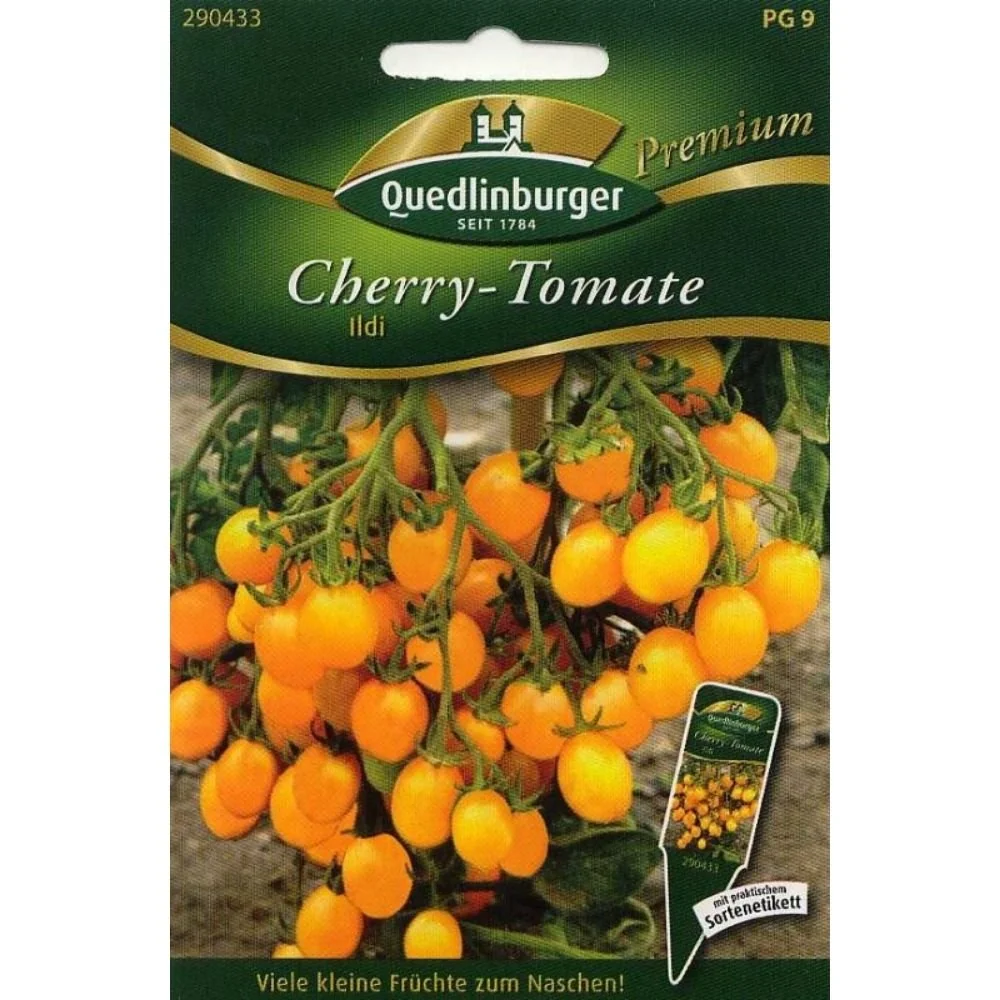 Tomatensamen Ildi F1 mit gelben Cherrytomaten