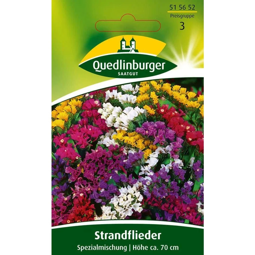 "Strandflieder, Spezialmischung image"