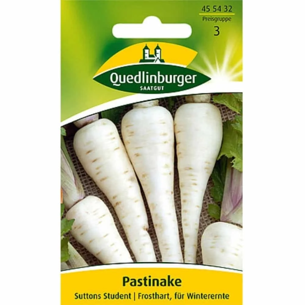 "Pastinaken säen, Suttens Student, Saatgut Pastinake image"