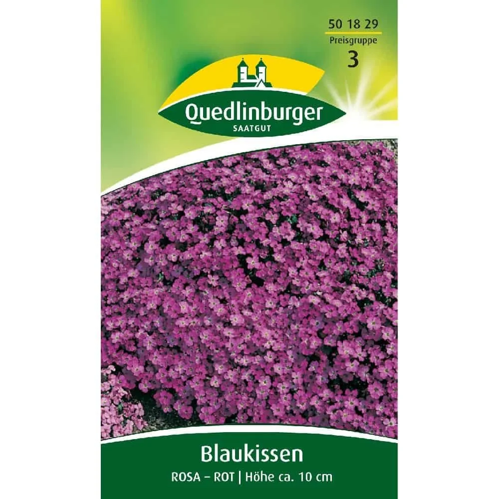 "Blaukissen, Rosa-rot image"