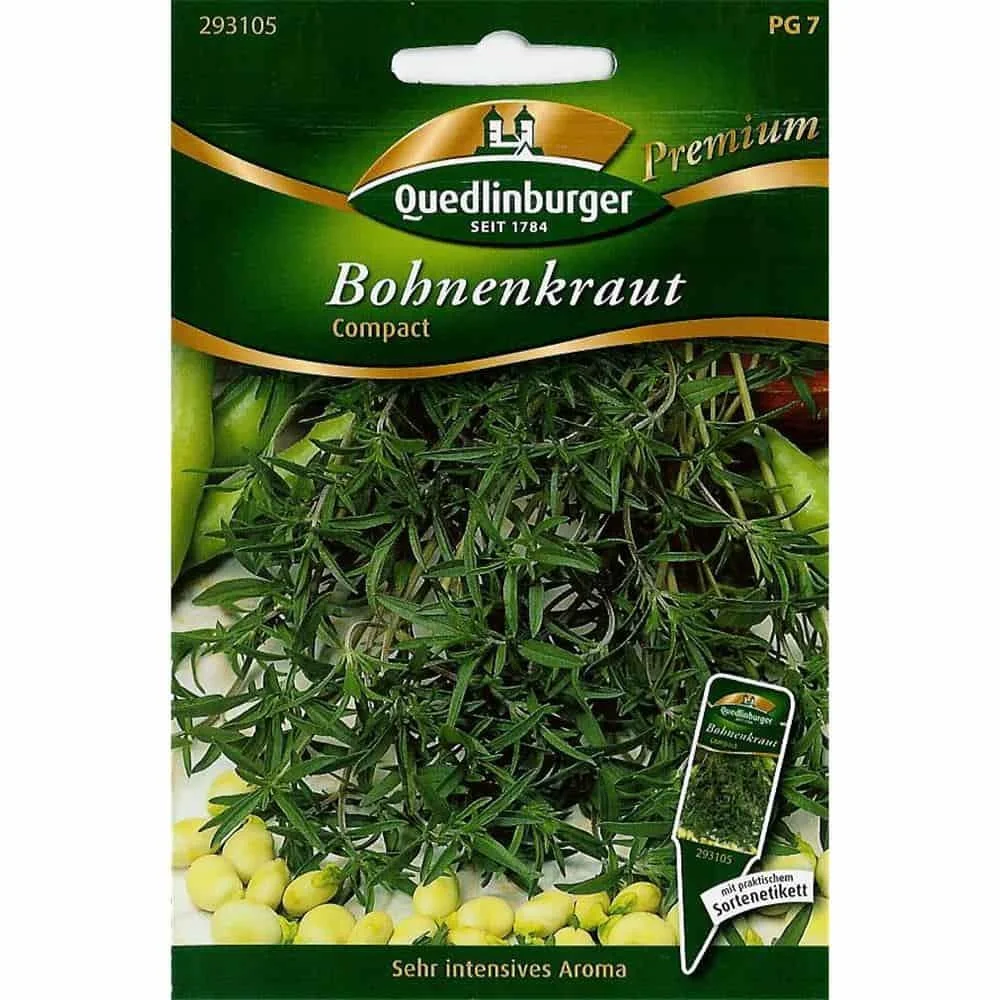 "Topf- Bohnenkraut, Compact image"