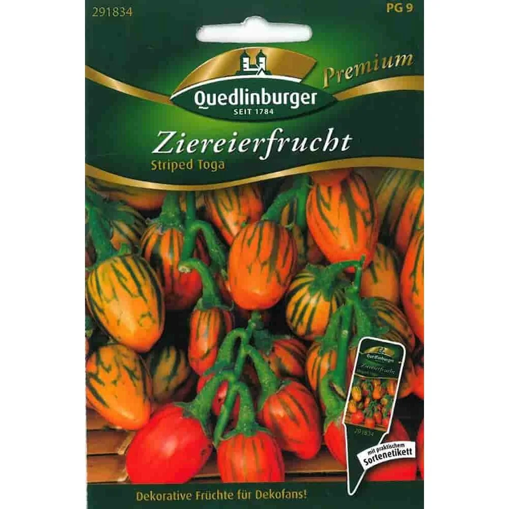 "Ziereierfrucht, Striped Toga, Zierpflanze f&uuml;r Garten & Floristik image"
