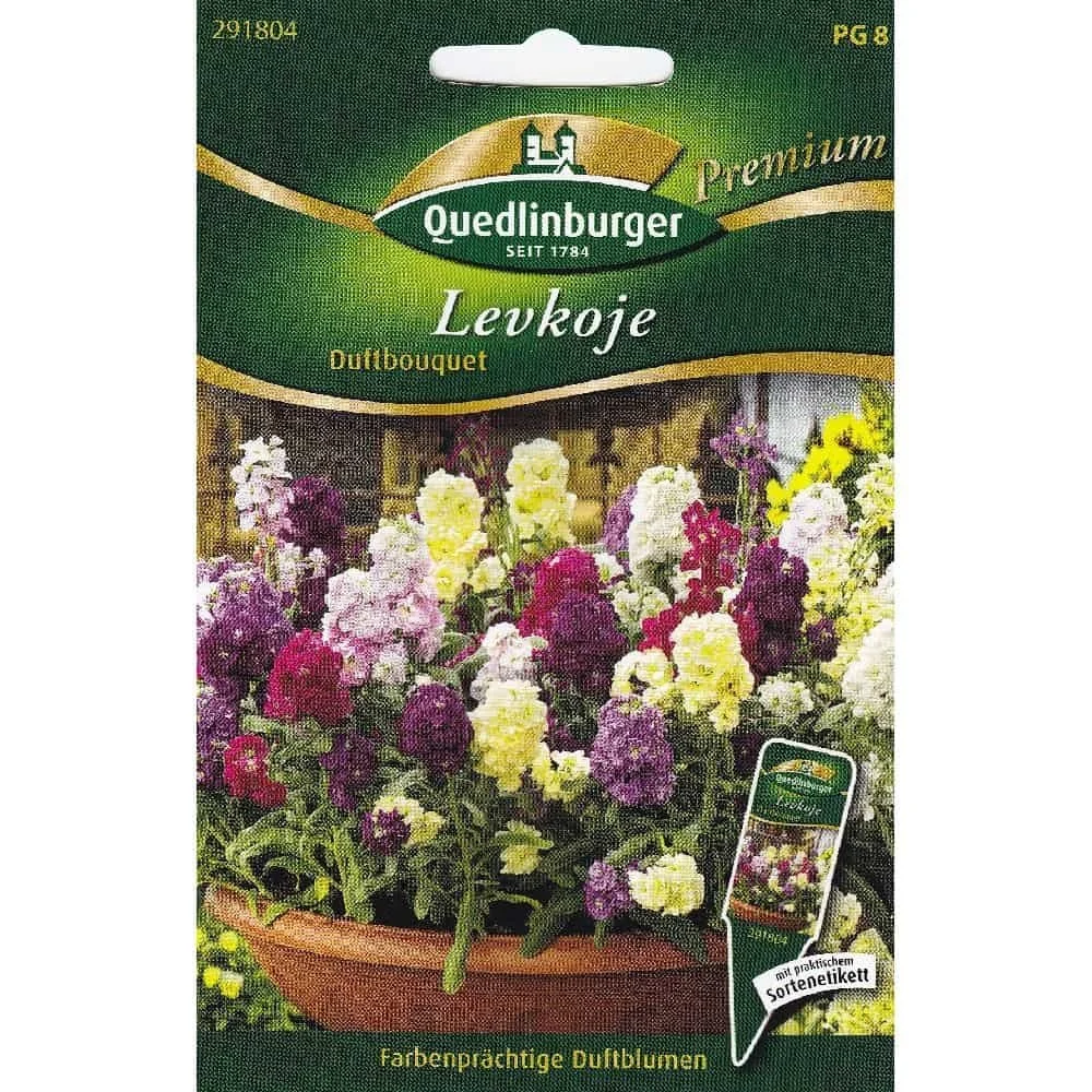 "Levkojen Samen, Sommerblumen, Duftbouquet image"