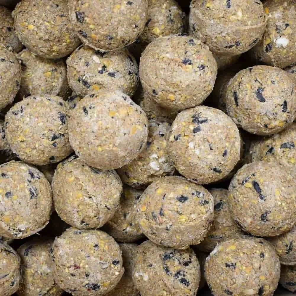 "Meisenknödel Premium mit Insekten 100 x ca.90 Gramm ohne Netz image"