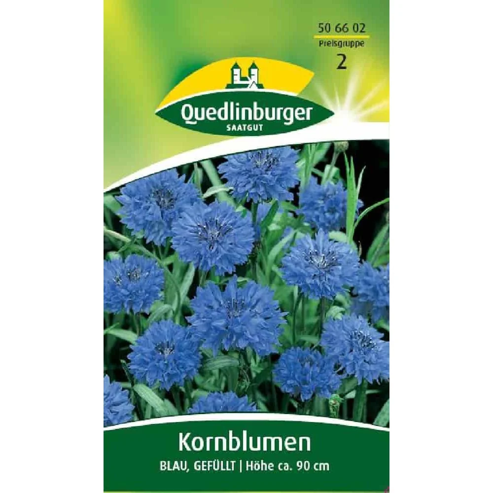 "Kornblume, Blau, gefüllt image"