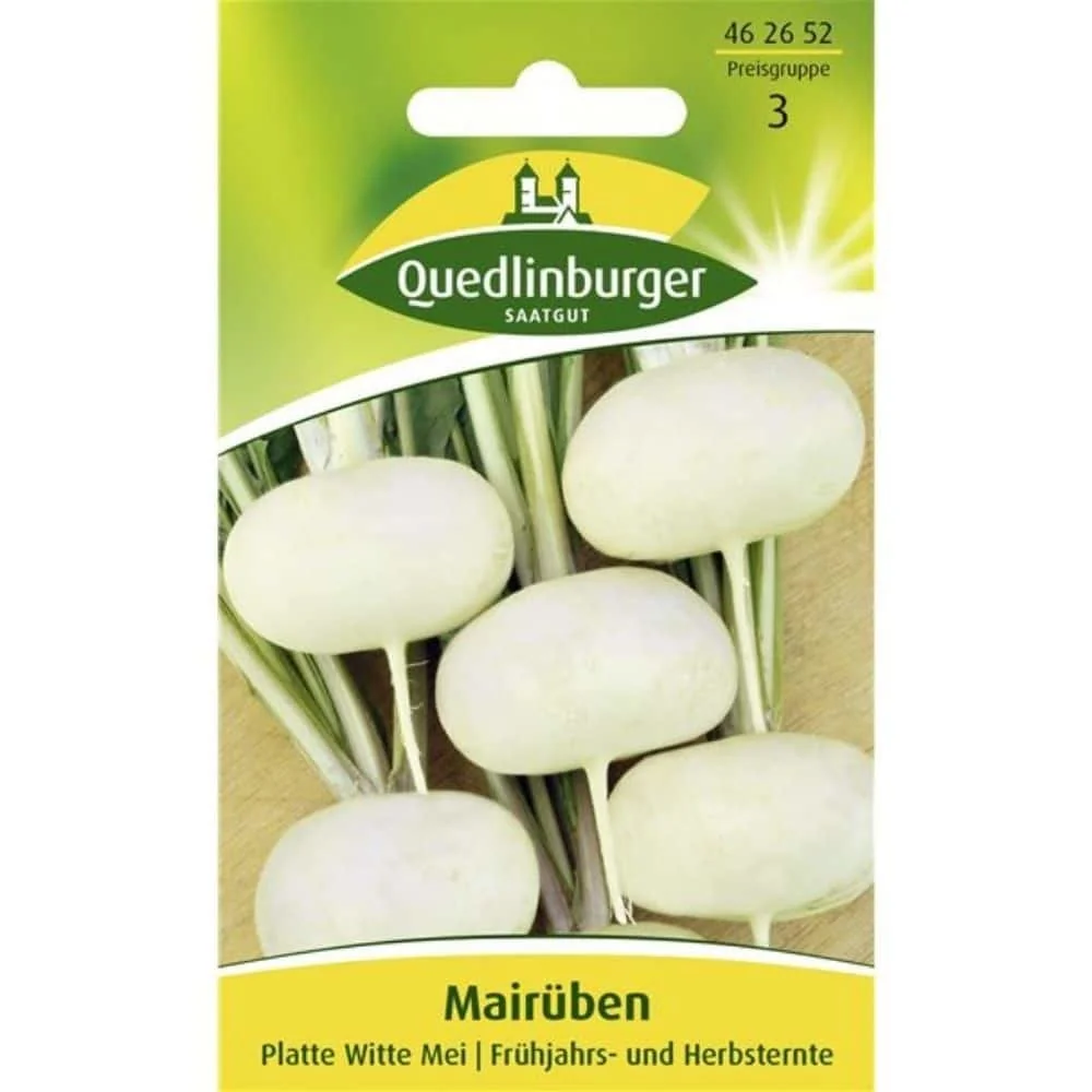 "Mairübe, Platte witte (Flache weiße) image"