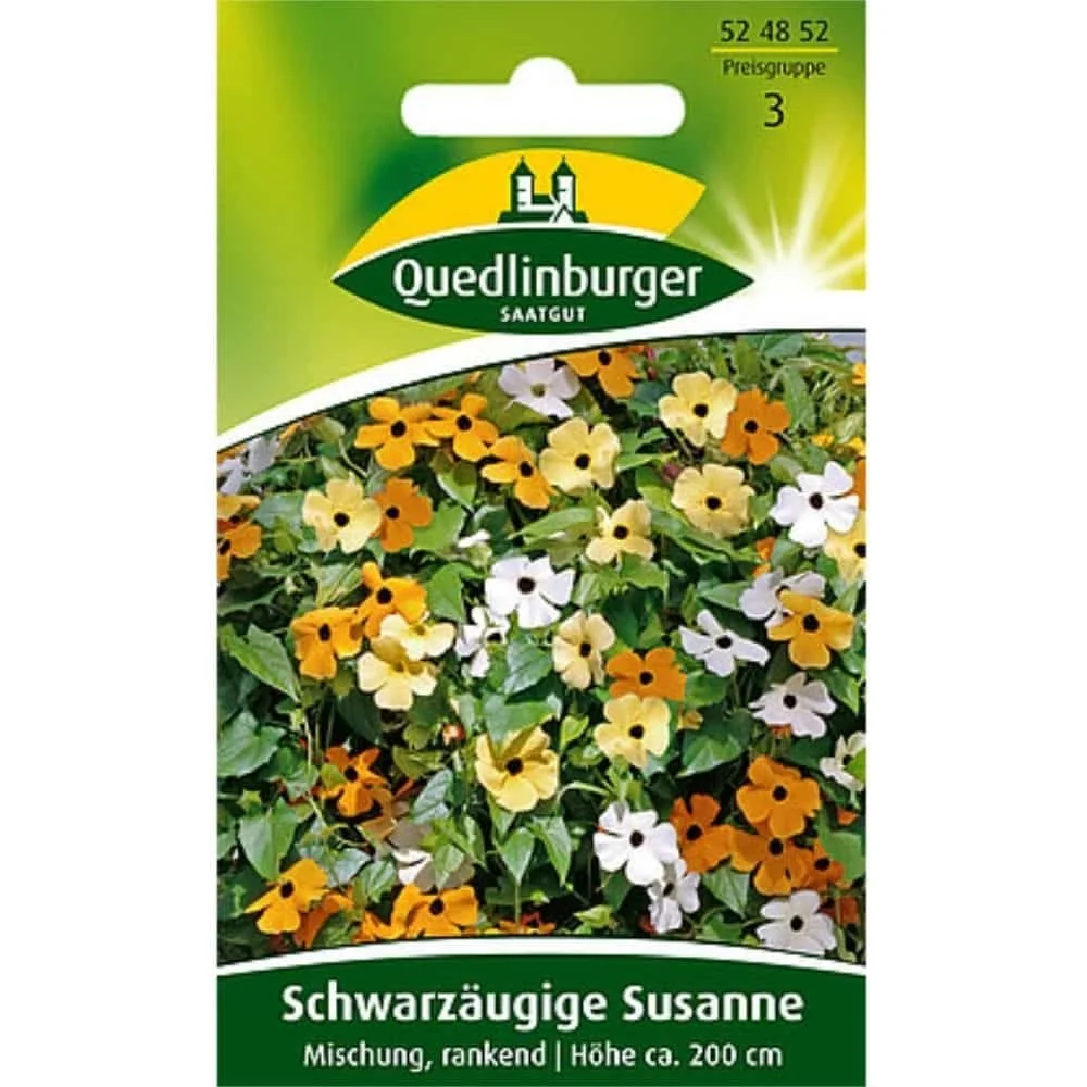 "Schwarzäugige Susanne Samen, Kletterpflanze, rankende Mischung für sonnigen Standort image"