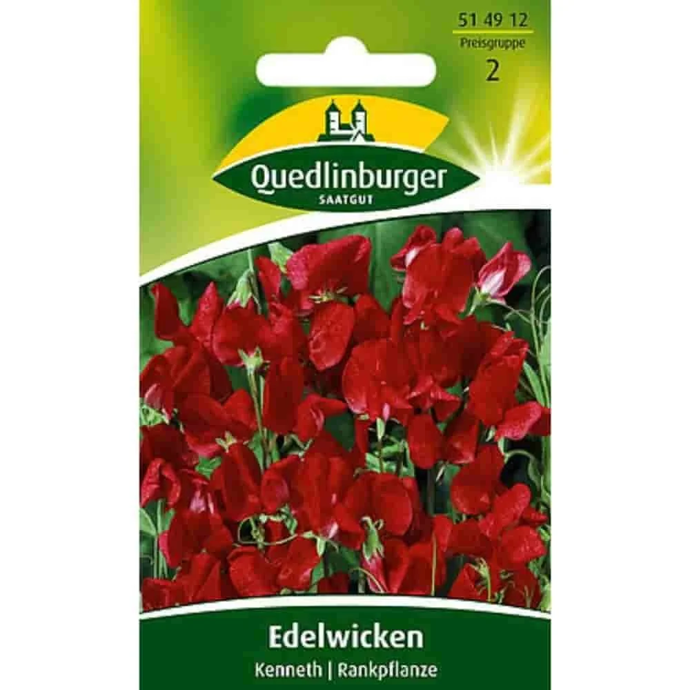 Edelwicke Samen, Duftwicken