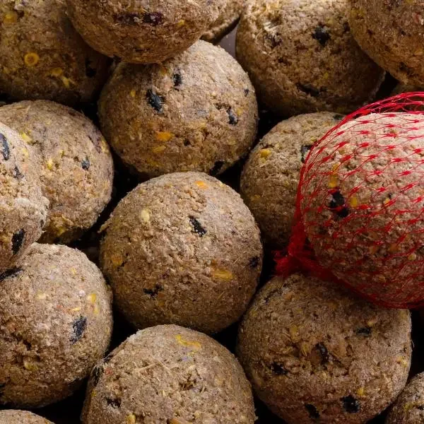 "Meisenknödel mit Insekten, 100 Stück, Vogelfutter, Fettfutter image"