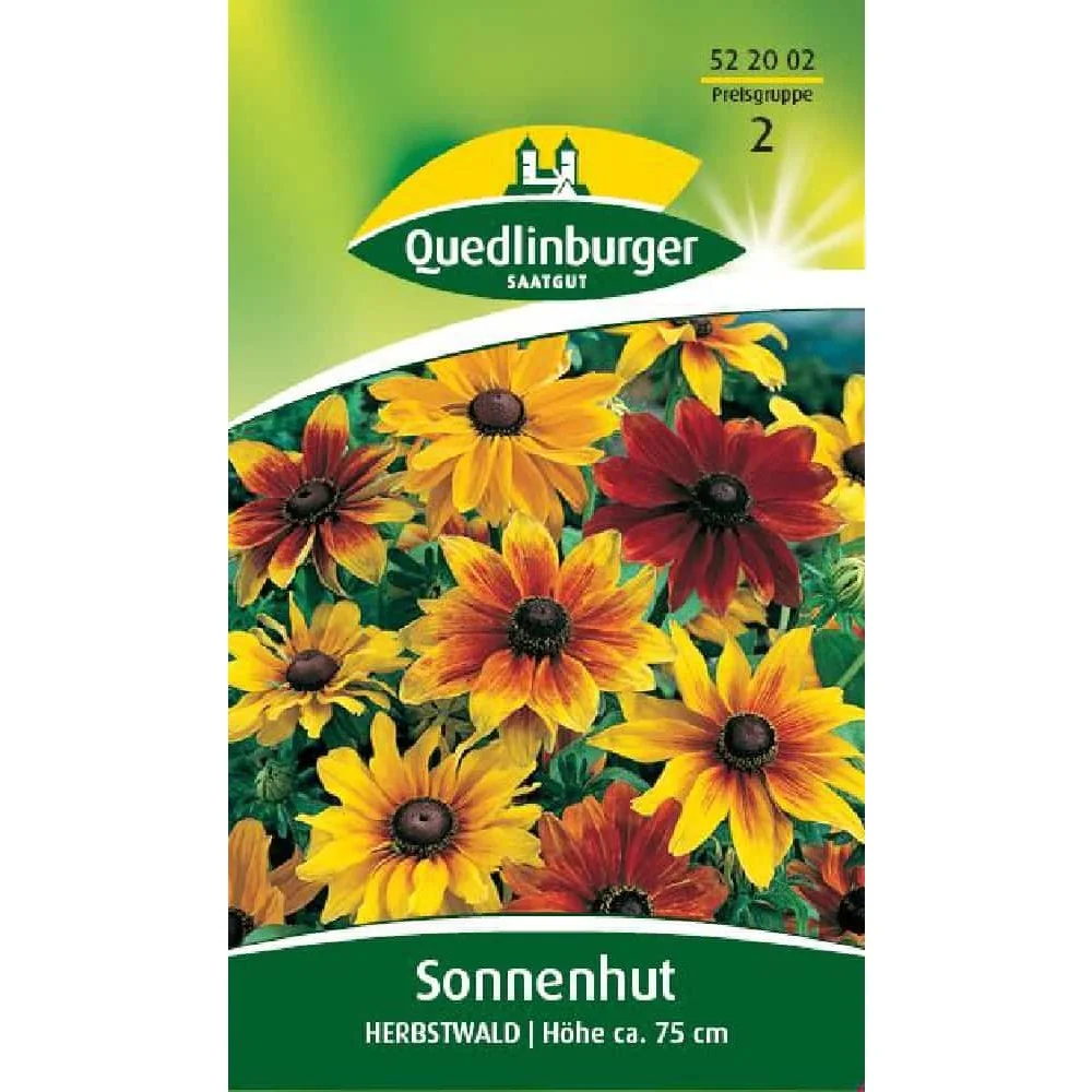 "Sonnenhut Herbstwald, Sommerblume image"