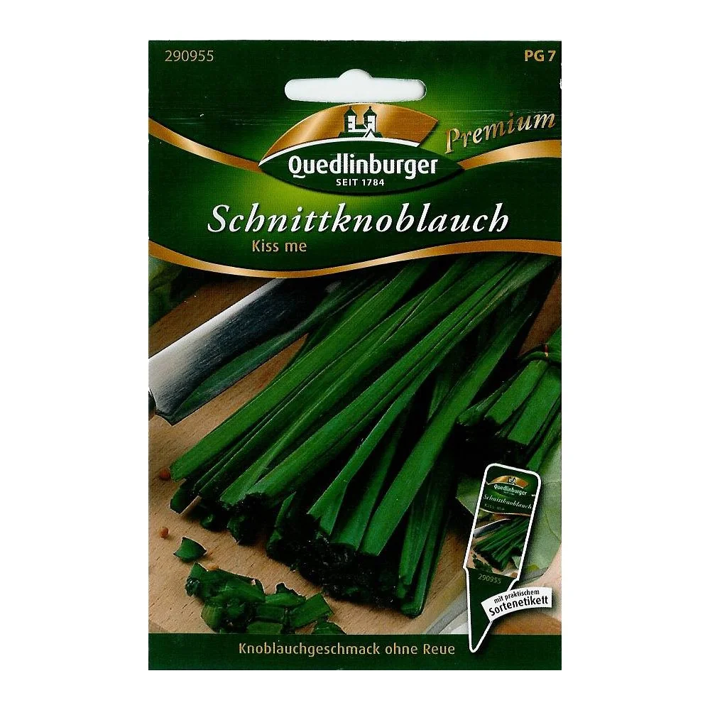 "Schnittknoblauch, Knoblauch Schnittlauch, mehrjährig, pflegeleicht image"