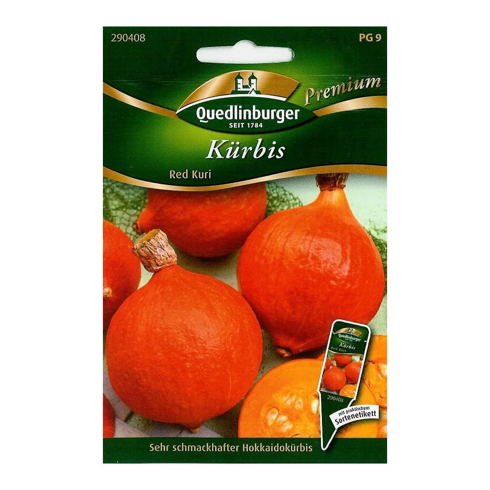 Kürbis Red Kuri, Hokkaido Kürbis, Speisekürbis, Saatgut