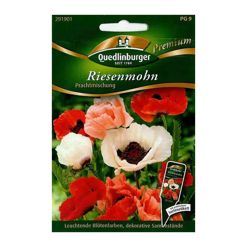 "Riesenmohn, Mohnblume, Prachtmischung, mehrjährig, Sommerblüte image"