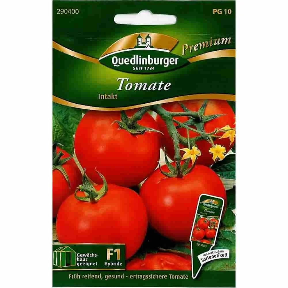"Tomatenpflanzen Intakt F1, robuste, resistente Tomatensorten image"