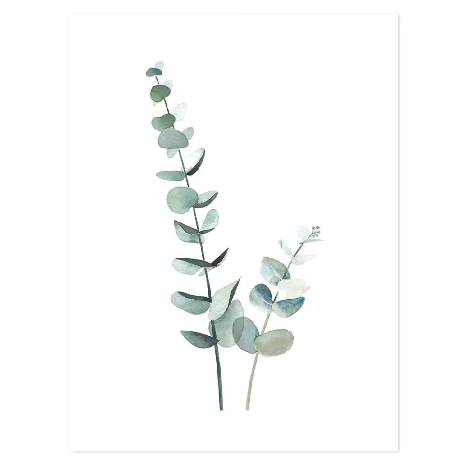 "Lilipinso Poster Eucalyptus zartgrün image"