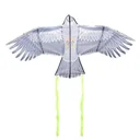 Vogelschreck-Drache