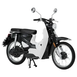 E-Roller / Retromofa 