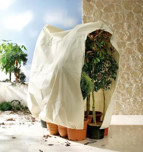 "Jumbo Kübelpflanzen Sack, 240 x 200 cm - Schutz im Winter bei Frost image"