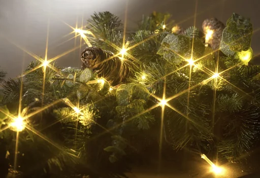 "LED Lichterkette mit 50 warmweißen LEDs, batteriebetrieben image"
