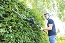 2 in 1 Elektro-Heckenschere, mit Teleskopverlängerung, 710 Watt, "TPX710 ProCut"