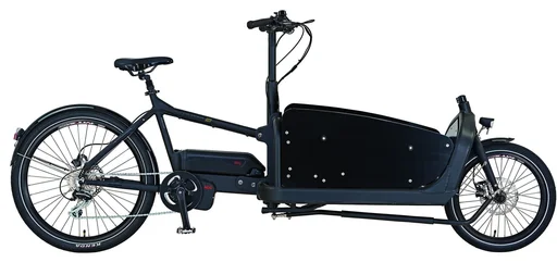"Unisex Lasten-E-Bike 20/26 Zoll, Rahmenhöhe 48 cm, 8-Gang Kettenschaltung, schwarz, CARGO 20.ETL.20 image"