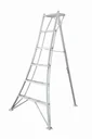 3-Holm-Gartenleiter, 180 cm