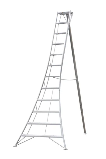 "3-Holm-Gartenleiter 360 cm image"