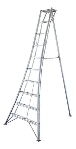 "3-Holm-Gartenleiter, 300 cm image"