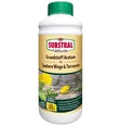 Grundstoff Acetum 1 Liter