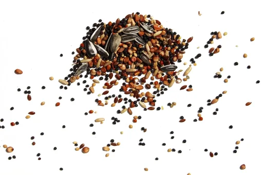 "Ganzjahres-Vogelstreufutter, 1 kg image"