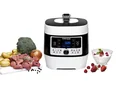 Dampfdruck- & Multikocher MD 1000