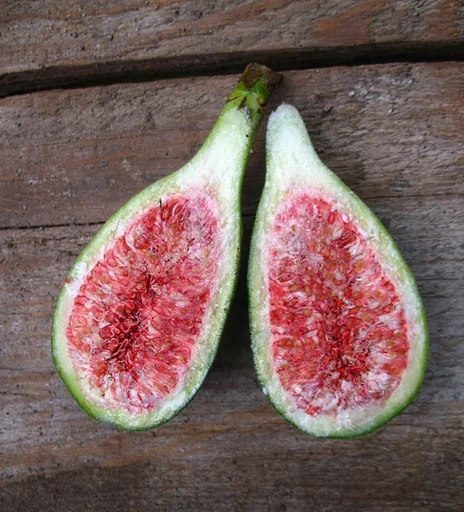 Feige 'Perretta'