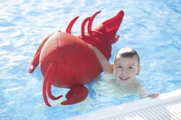 Pool Buddy Lobster rot