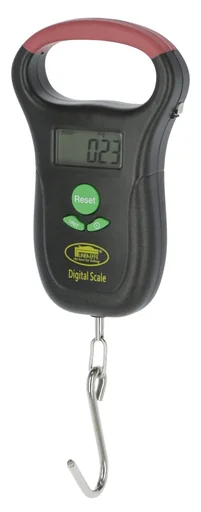 "Hängewaage DigiScale 25, digital image"